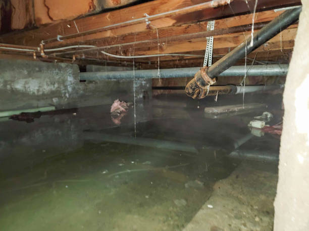 Best Water damage restoration near me  in Uniontown, PA