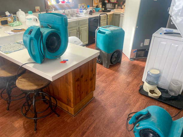 Best Local water damage restoration  in Uniontown, PA