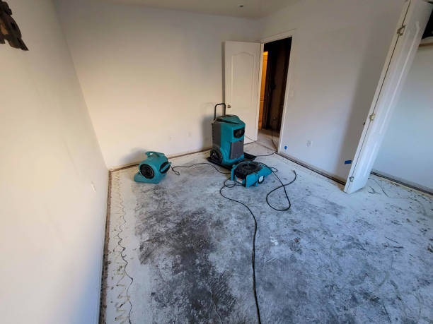 Best Flood restoration services  in Uniontown, PA