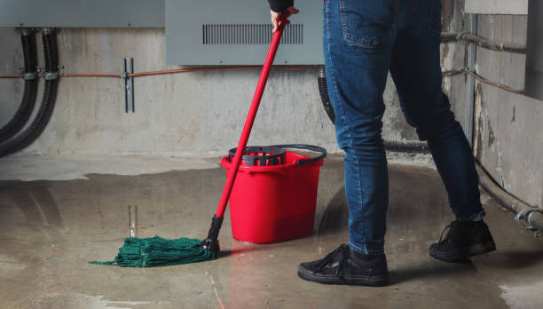 Best Water damage restoration company  in Uniontown, PA